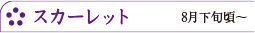 スカーレット　8月下旬頃～