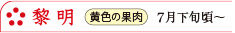 黎明　黄色の果肉　7月下旬頃～