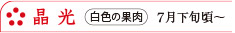 晶光　白色の果肉　7月下旬頃～