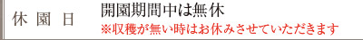 収穫祭 小山園の休園日　開園期間中は無休　※収穫が無い時はお休みさせていただきます